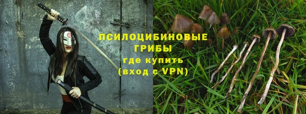 молекула духа Лиски