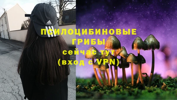 молекула духа Лиски