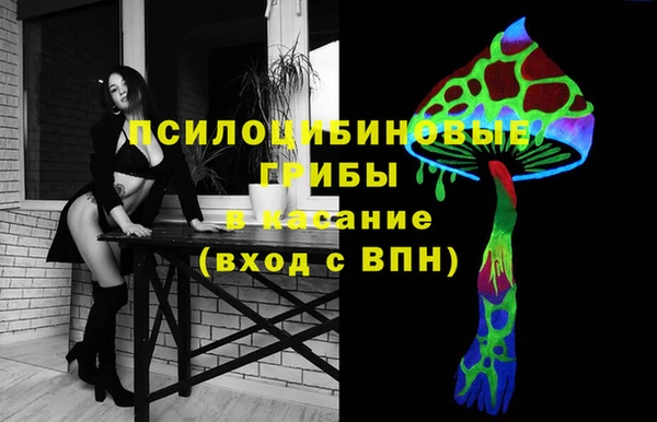 молекула духа Лиски