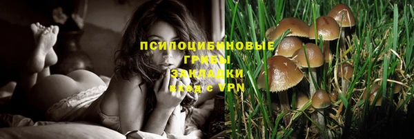 а пвп мука Липки