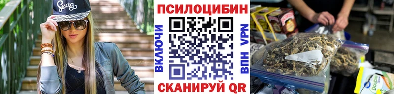 цена наркотик  Тимашёвск  mega tor  Псилоцибиновые грибы Psilocybe 